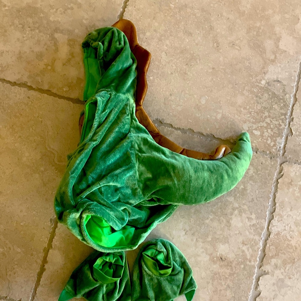 Baby dinosaur costume